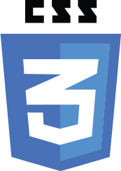 css3 logo